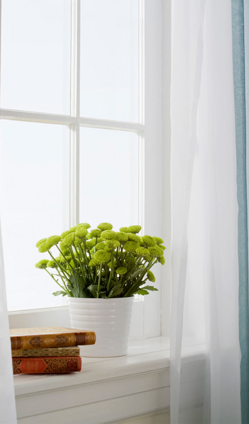 Vase with flowers